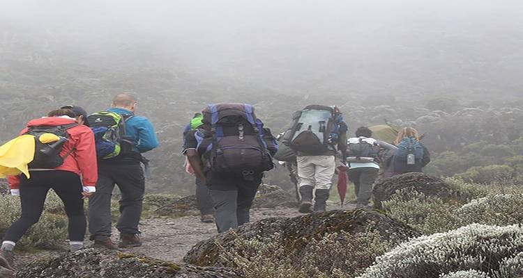 7 JOURS ROUTE DU LEMOSHO - Almighty Kilimanjaro 8
