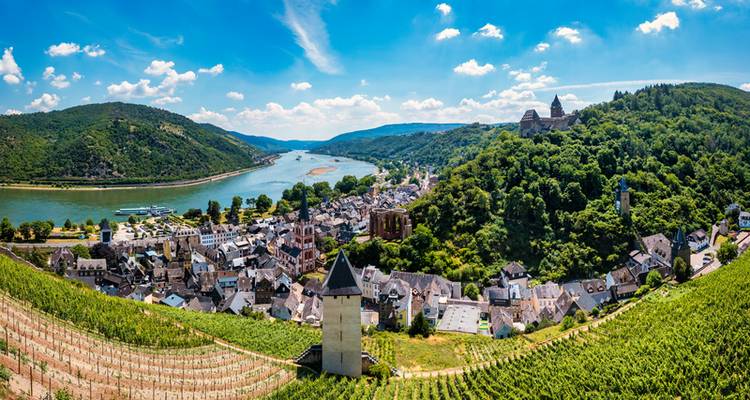 Highlights of the Rhine and Main Munich → Amsterdam (2025) (10 destinations) - APT 1
