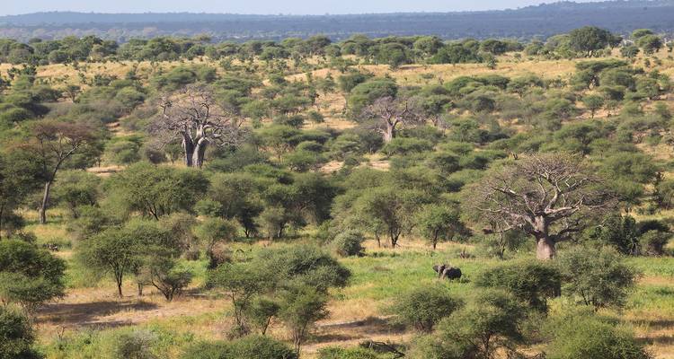 12 jours de safari au Kenya, en Tanzanie et en Ouganda - CKC Tours & Travel 3