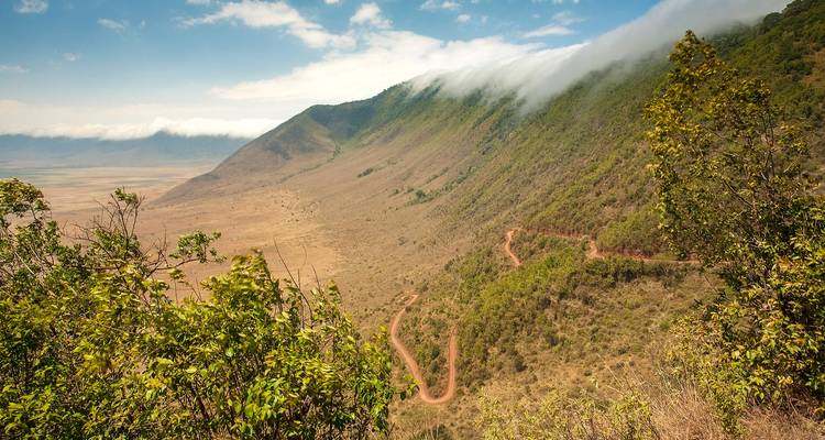 12 jours de safari au Kenya, en Tanzanie et en Ouganda - CKC Tours & Travel 4