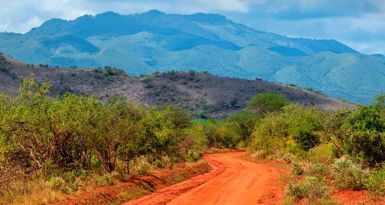 12 jours de safari au Kenya, en Tanzanie et en Ouganda - CKC Tours & Travel 6
