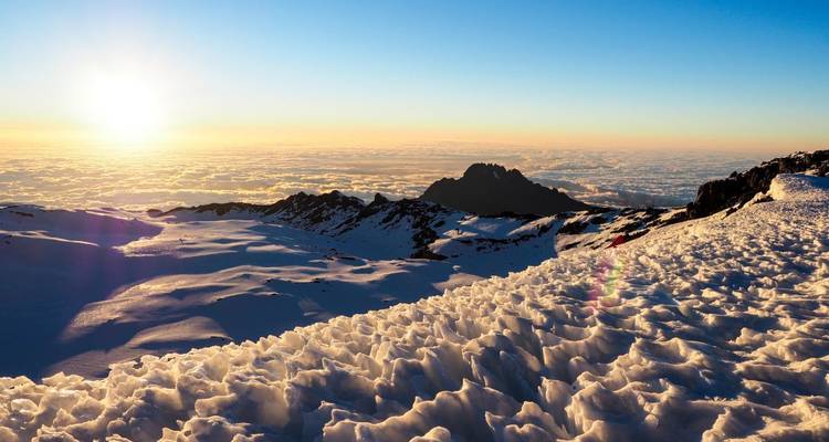 Aventure au Kilimandjaro par la route de Lemosho avec safari - DIAMIR Erlebnisreisen 9
