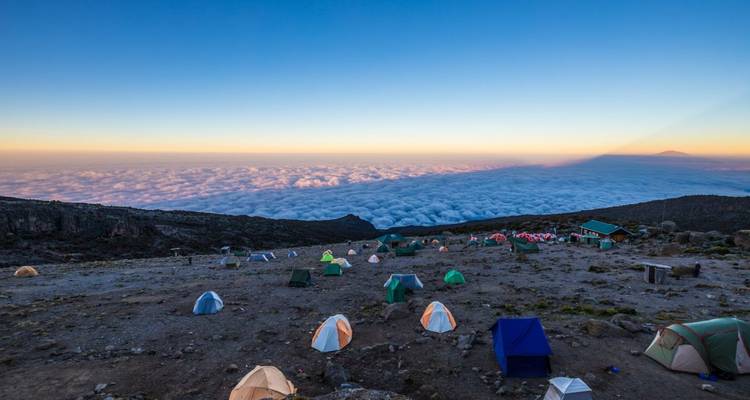 Aventure au Kilimandjaro par la route de Lemosho avec safari - DIAMIR Erlebnisreisen 8
