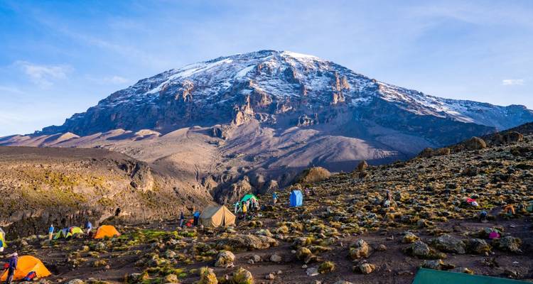 Aventure au Kilimandjaro par la route de Lemosho avec safari - DIAMIR Erlebnisreisen 4