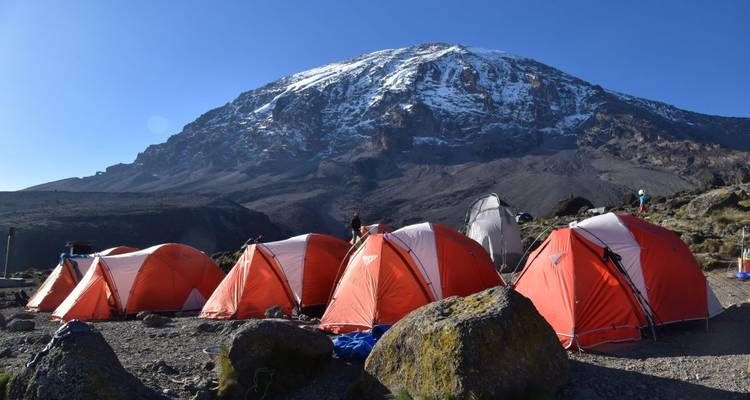 Aventure au Kilimandjaro par la route de Lemosho avec safari - DIAMIR Erlebnisreisen 3