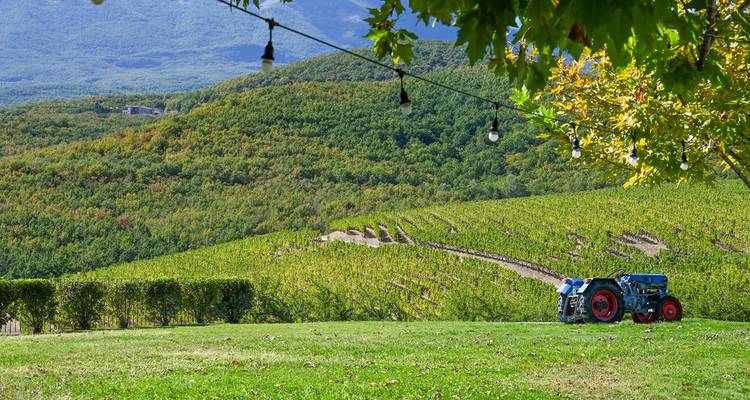 Petits trésors 6 jours/5 nuits tous les dimanches - Filos Holidays and Travel  7