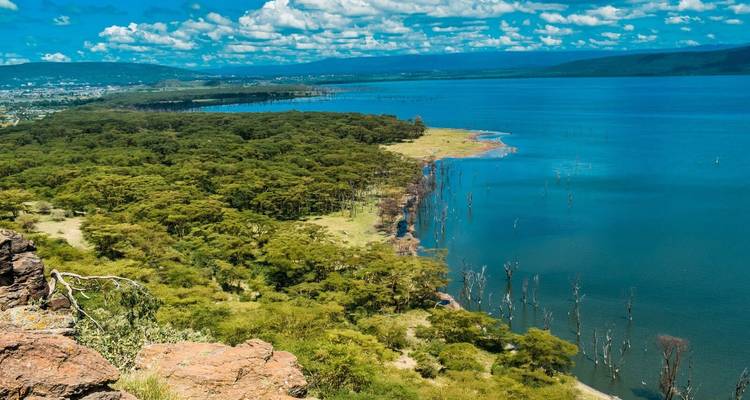 Aerial view of a lake with forest and distant city.