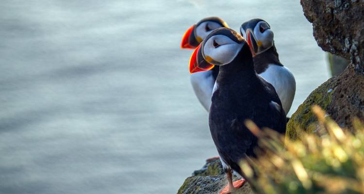 Escapada a Islandia - V.O.S – Vision of Scandinavia 2