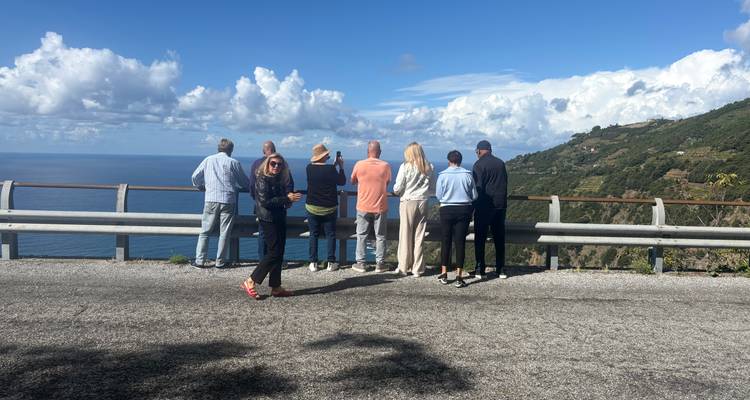 Un groupe de personnes debout sur un point de vue surplombant la mer et les collines.
