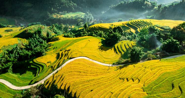 Descubre las Maravillas del Norte de Vietnam 7 días Hanói, Sapa, Halong. - Bamboo Hat Tours.,ltd 10