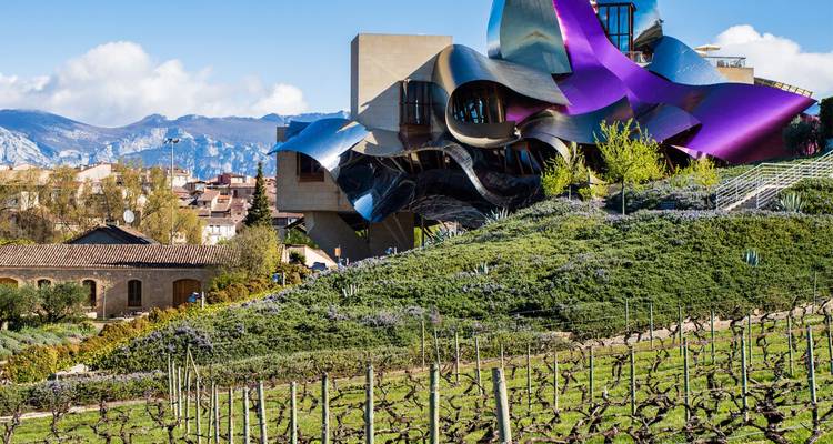 Bâtiment vinicole futuriste aux panneaux courbes métallisés surplombant les rangées de vignobles