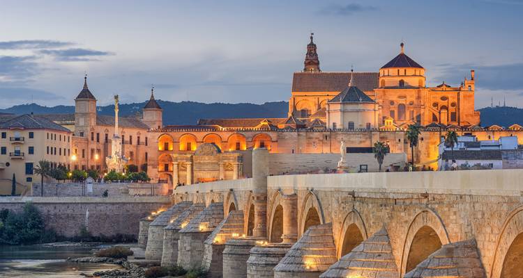 La mezquita-catedral y el puente romano de Córdoba iluminados por la noche.