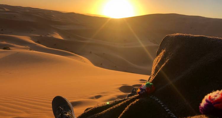 Sahara Desert Trekking Tour & Wild Camping - Escorted Morocco Tours 3
