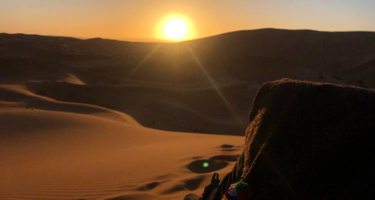 Sahara Desert Trekking Tour & Wild Camping - Escorted Morocco Tours 6