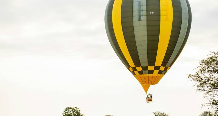 Wildlife Wonders of East Africa: A 13-Day Safari Exploration - Wanderful Holidays LLC 6
