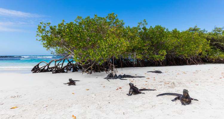 9 Días - Experiencia Multideporte de Lujo en Galápagos - Responsible Travel South America 5