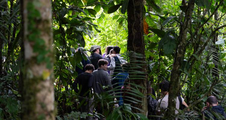 4 Days Amazonian Jungle Exploration in Napo - Responsible Travel South America 2