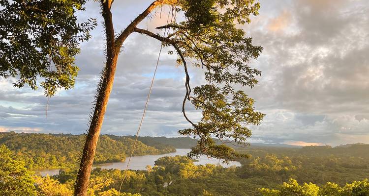 4 Days Amazonian Jungle Exploration in Napo - Responsible Travel South America 3