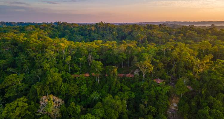 Expedición de 5 días al Amazonas Napo: Cultura, Aventura y Naturaleza Te Esperan - Responsible Travel South America 5