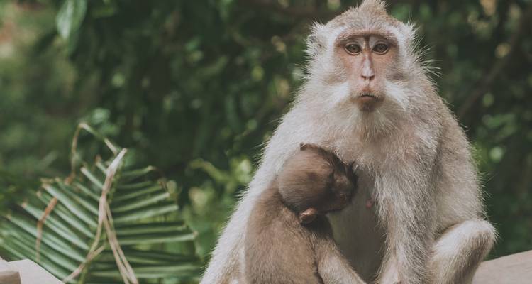 Experiencia Bali - Influir e Inspirar - TruTravels 7
