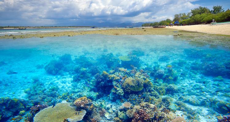 Experiencia Bali - Influir e Inspirar - TruTravels 4