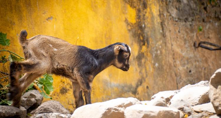 Cabo Verde y Lisboa: Ciudad colorida e isla salada (from Lisboa to Sal) - journaway 1