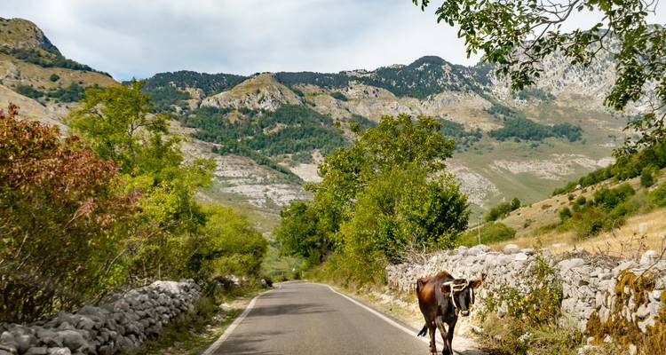 Viaje por carretera a Albania: cañones, acantilados y aguas cristalinas (8 destinations) - journaway 9