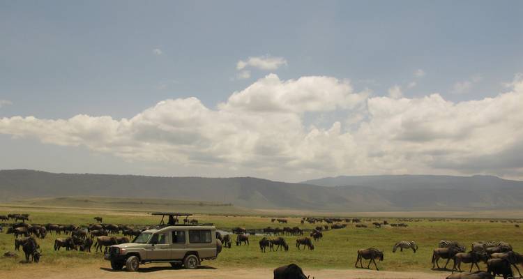 Safari aéreo de lujo en Kenia de 5 días por Amboseli y Masai Mara - Gracepatt Ecotours Kenya 10