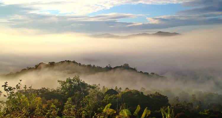 15 días Malasia, isla de Borneo: parques nacionales y cazarrecompensas - Oasis Travel 7