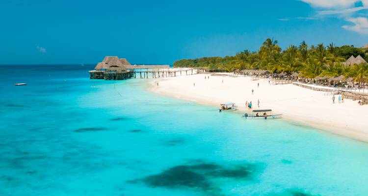 Maravillas de la Fauna de Tanzania y Gozo en la Playa de Zanzíbar con Excursión Opcional al Kilimanjaro - Wanderful Holidays LLC 4
