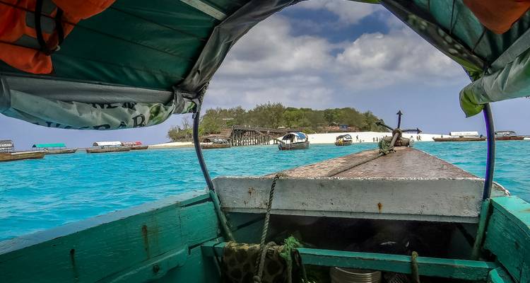 Maravillas de la Fauna de Tanzania y Gozo en la Playa de Zanzíbar con Excursión Opcional al Kilimanjaro - Wanderful Holidays LLC 6