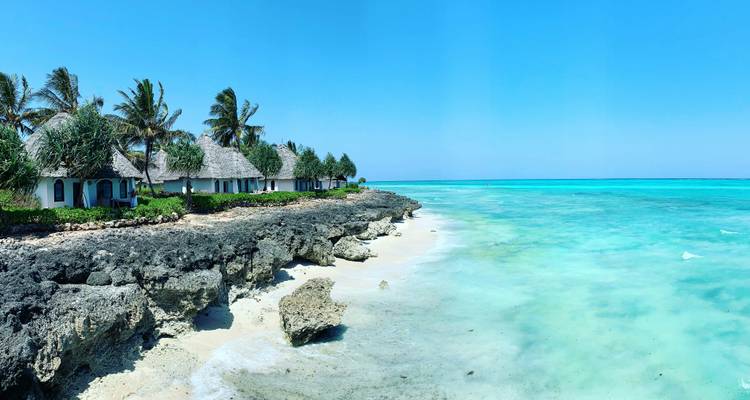 Maravillas de la Fauna de Tanzania y Gozo en la Playa de Zanzíbar con Excursión Opcional al Kilimanjaro - Wanderful Holidays LLC 7