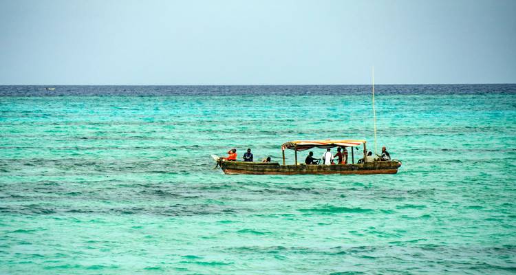 Maravillas de la Fauna de Tanzania y Gozo en la Playa de Zanzíbar con Excursión Opcional al Kilimanjaro - Wanderful Holidays LLC 9