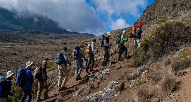 Maravillas de la Fauna de Tanzania y Gozo en la Playa de Zanzíbar con Excursión Opcional al Kilimanjaro - Wanderful Holidays LLC 1