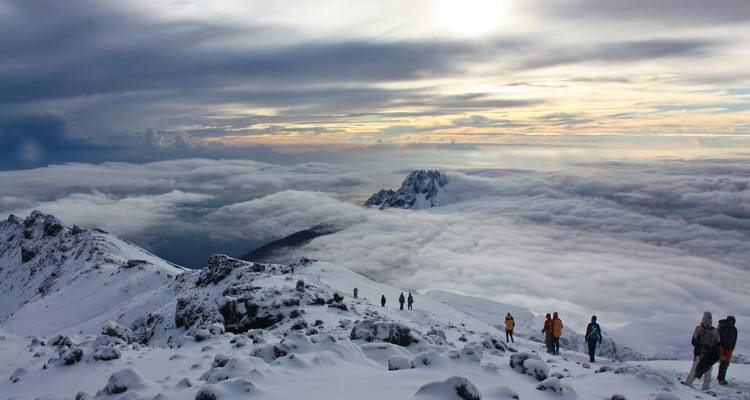 Maravillas de la Fauna de Tanzania y Gozo en la Playa de Zanzíbar con Excursión Opcional al Kilimanjaro - Wanderful Holidays LLC 10