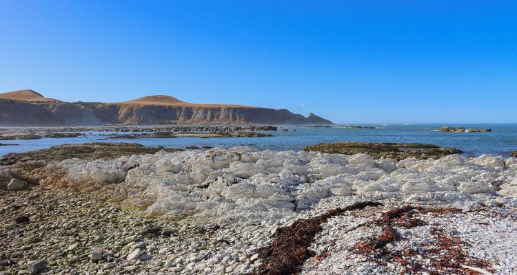 Classic Cities & Coastal Highlights Tour - Great Journeys New Zealand 2