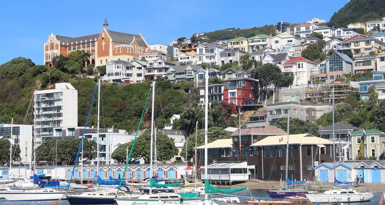Classic Cities & Coastal Highlights Tour - Great Journeys New Zealand 4
