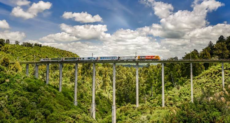 Classic Cities & Coastal Highlights Tour - Great Journeys New Zealand 1