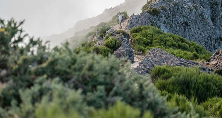Madère en 8 jours : road trip pittoresque - Worldee 9