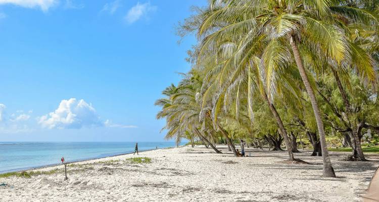 Los Cinco Grandes de Kenia y la dicha de la playa: 4 y 5 estrellas con todas las comidas incluidas - Wanderful Holidays LLC 8