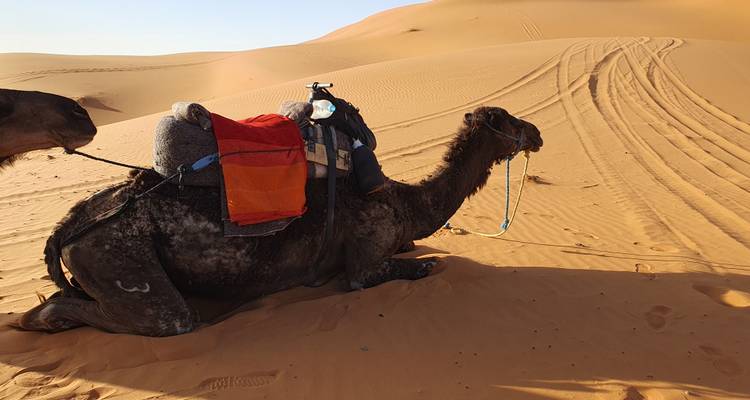 Circuit d'exploration du Maroc de 15 jours (circuit privé) - Morocco Explore Tours 10