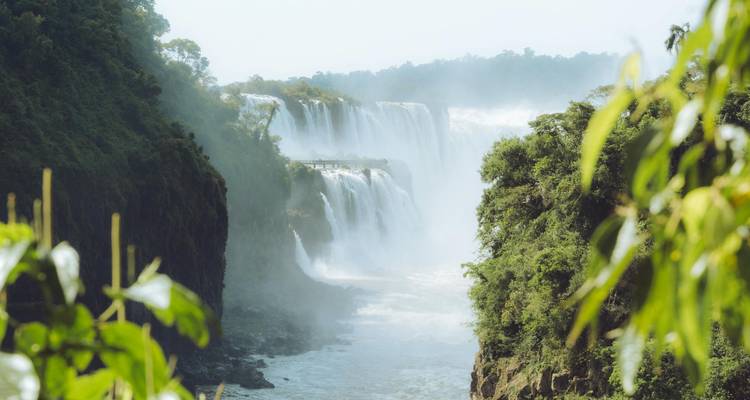 Uitzicht op de Iguazu-watervallen omringd door groen bos.