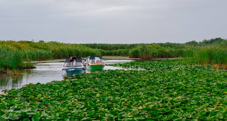 1.200 miles sur le magnifique Danube bleu (Vienne - Bucarest) - Lueftner Cruises 1