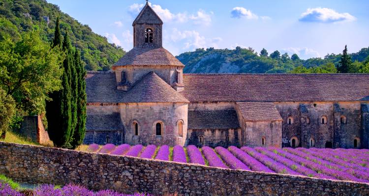 Vive el Sur de Francia: Borgoña y Provenza (Lyon - Lyon) (including Chalon sur Saone) - Lueftner Cruises 1
