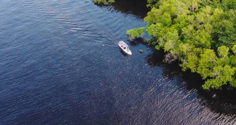 Drone view of a small boat cutting across dark Amazon waters beside green jungle.