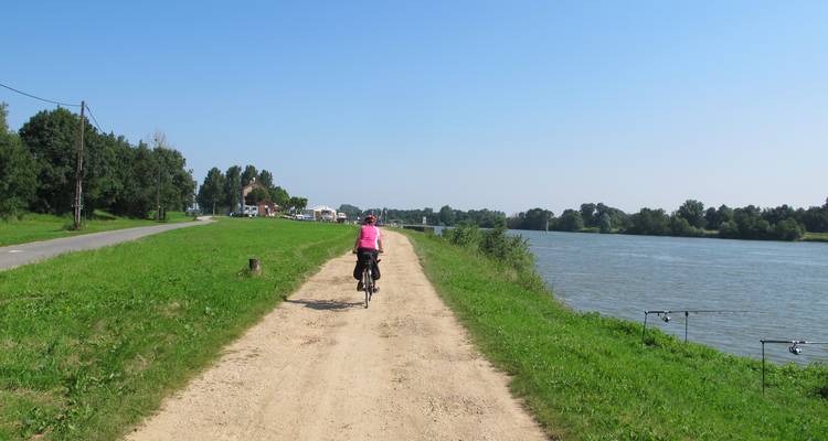 La Bourgogne à vélo :  Grand cru et art roman - Visite guidée à vélo - Grand Angle  1