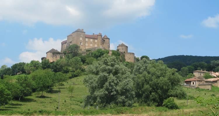 La Bourgogne à vélo :  Grand cru et art roman - Visite guidée à vélo - Grand Angle  2