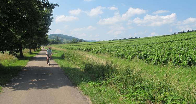 La Bourgogne à vélo :  Grand cru et art roman - Visite guidée à vélo - Grand Angle  8