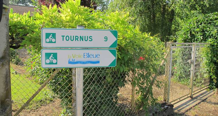 La Bourgogne à vélo :  Grand cru et art roman - Visite guidée à vélo - Grand Angle  10