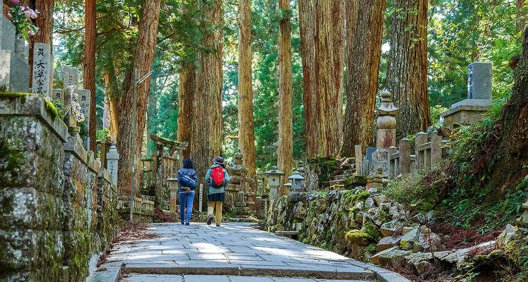 Zwei Wanderer gehen einen Steinpfad entlang durch hochaufragende Zedern und moosbewachsene buddhistische Gräber am Kōya-san.